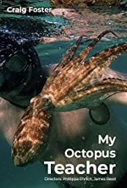 ดูหนังออนไลน์ My Octopus Teacher (2020) บทเรียนจากปลาหมึก