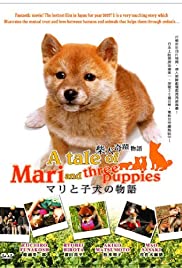 ดูหนังออนไลน์ A Tale of Mari and Three Puppies (2007) เพื่อนซื่อ… ชื่อ มาริ
