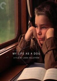 ดูหนังออนไลน์ My Life as a Dog (Mitt liv som hund) (1985)