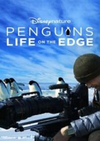 ดูหนังออนไลน์ Penguins Life on the Edge (2020) Disney+ Hotstar