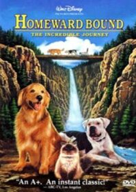 ดูหนังออนไลน์ Homeward Bound The Incredible Journey (1993) สองหมาหนึ่งแมว ใครจะพรากเราไม่ได้
