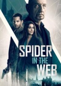 ดูหนังออนไลน์ Spider in the Web (2019) สไปเดอร์ อิน เดอะเว็บ