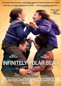 ดูหนังออนไลน์ Infinitely Polar Bear (2014) พ่อคนนี้ ดีที่สุด