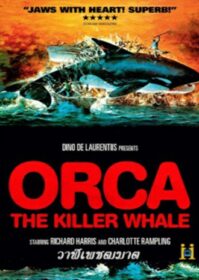 ดูหนังออนไลน์ Orca The Killer Whale (1977) ออร์ก้า ปลาวาฬเพชฌฆาต