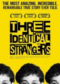 ดูหนังออนไลน์ Three Identical Strangers (2018) แฝด 3