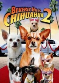 ดูหนังออนไลน์ Beverly Hills Chihuahua 2 (2011) คุณหมาไฮโซ โกบ้านนอก 2