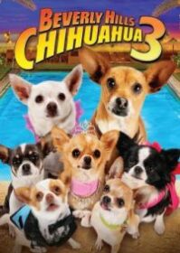 ดูหนังออนไลน์ Beverly Hills Chihuahua 3 Viva La Fiesta! (2012) คุณหมาไฮโซ โกบ้านนอก 3