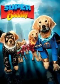 ดูหนังออนไลน์ Super Buddies (2013) ซูเปอร์บั๊ดดี้ แก๊งน้องหมาซูเปอร์ฮีโร่