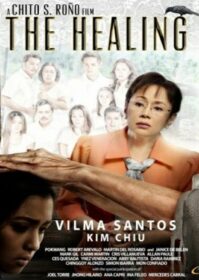 ดูหนังออนไลน์ The Healing (2012) ศรัทธาวิปลาส