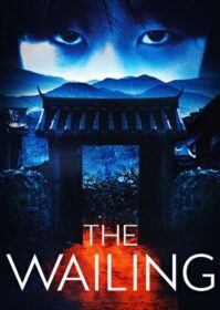 ดูหนังออนไลน์ The Wailing (2016) ฆาตกรรมอำปีศาจ