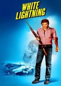 ดูหนังออนไลน์ White Lightning (1973) อำเภอคนโฉด