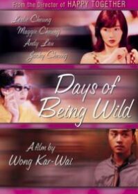 ดูหนังออนไลน์ Days of Being Wild (1990) วันที่หัวใจรักกล้าตัดขอบฟ้า
