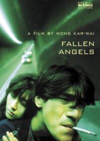 ดูหนังออนไลน์ Fallen Angels (1995) นักฆ่าตาชั้นเดียว