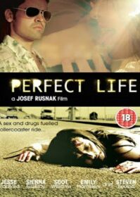 ดูหนังออนไลน์ A Perfect Life (2010) พิศวาสสีเลือด
