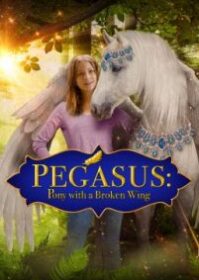 ดูหนังออนไลน์ Pegasus Pony with a Broken Wing (2019) ม้าเพกาซัสที่มีปีกหัก