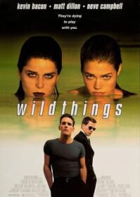 ดูหนังออนไลน์ Wild Things (1998) เกมซ่อนกล
