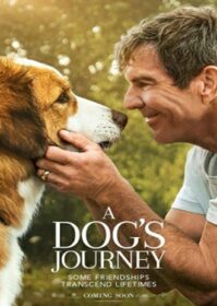 ดูหนังออนไลน์ A Dog’s Journey (2019) หมา เป้าหมาย และเด็กชายของผม 2