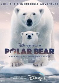 ดูหนังออนไลน์ Polar Bear (2022)