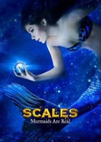 ดูหนังออนไลน์ Scales Mermaids Are Real (2017) บทพิสูจน์นางเงือก มีจริง