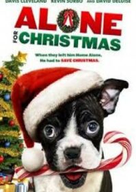 ดูหนังออนไลน์ Alone for Christmas (2013) แก๊งน้องหมาโดดเดี่ยวผู้น่ารัก