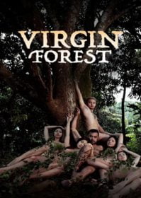 ดูหนังออนไลน์ Virgin Forest (2022)