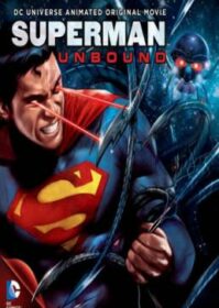 ดูหนังออนไลน์ Superman Unbound (2013) ซูเปอร์แมน ศึกหุ่นยนต์ล้างจักรวาล