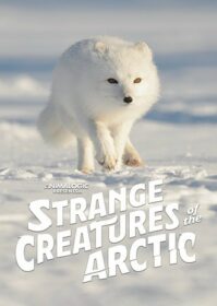 ดูหนังออนไลน์ Strange Creatures of the Arctic (2022)