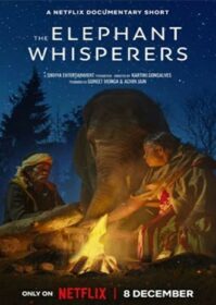 ดูหนังออนไลน์ The Elephant Whisperers (2022) คนกล่อมช้าง