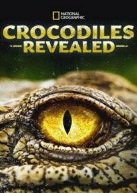 ดูหนังออนไลน์ Crocodiles Revealed (2022) เปิดเผยเรื่องราวจระเข้