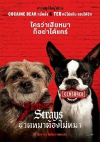 ดูหนังออนไลน์ Strays (2023) ชีวิตหมาต้องไม่หมา