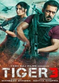 ดูหนังออนไลน์ Tiger 3 (2024) เรียกข้าว่าเสือ 3