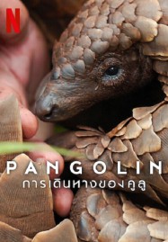 ดูหนังออนไลน์ Pangolin Kulu’s Journey (2025) การเดินทางของคูลู