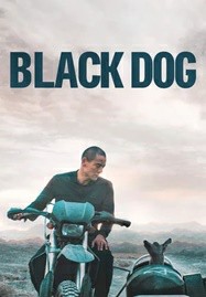 ดูหนังออนไลน์ Black Dog (2024) สี่ขาหัวใจไม่ดำ